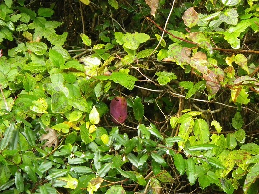 f0187402_21091841.jpg