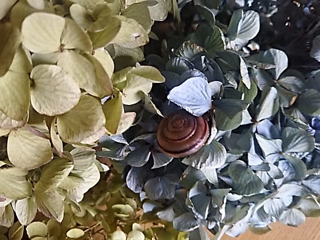 f0316507_09261500.jpg