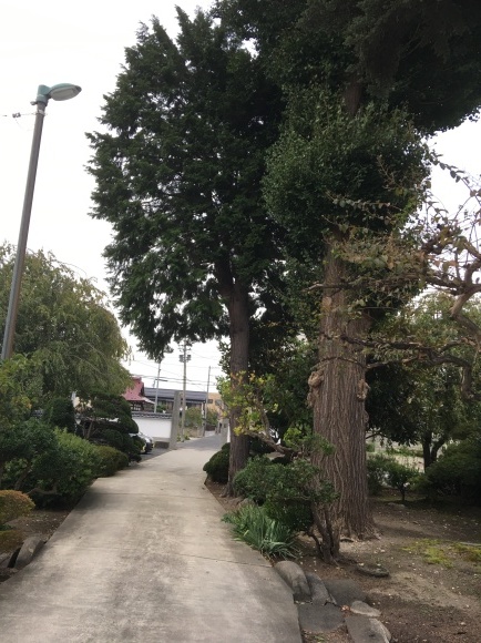c0109109_05333749.jpeg