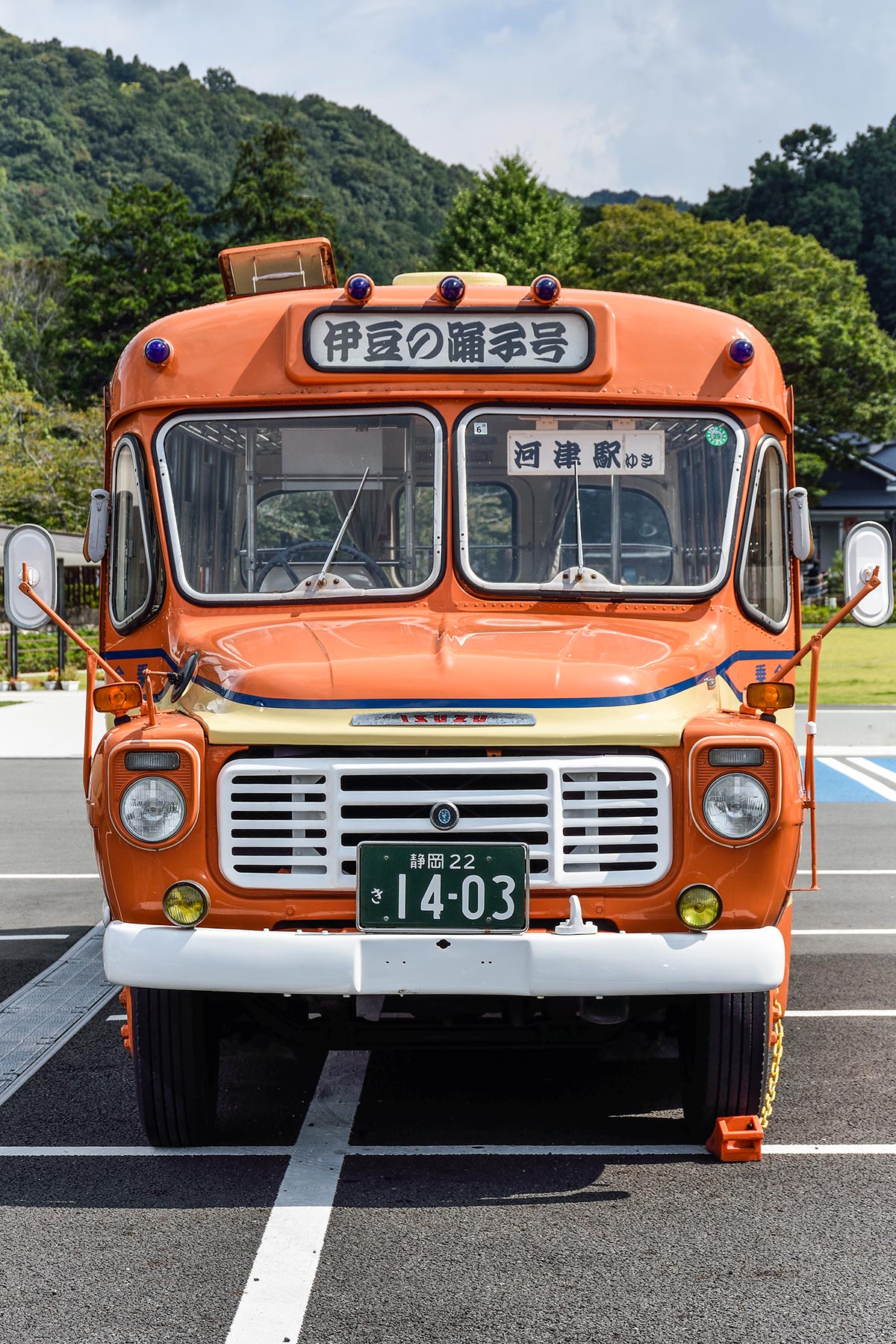 トミカ ダンディ いすゞ ボンネットバス 踊り子号 東海バス BXD30