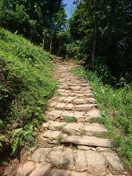 d0360509_2104264.jpg