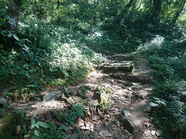 d0360509_21181115.jpg