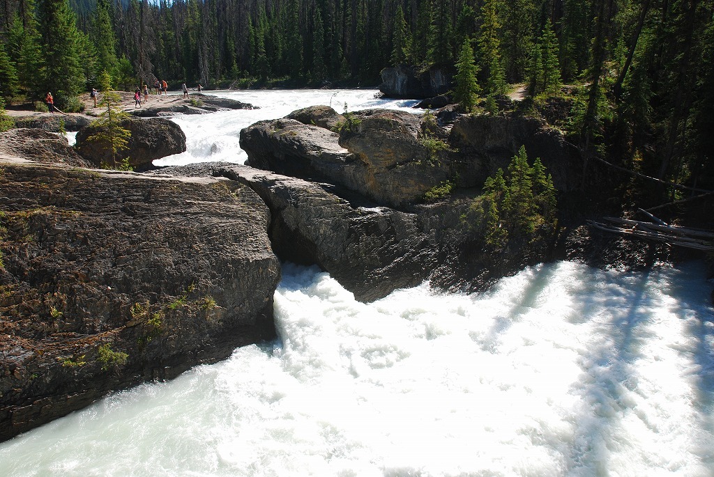 b0021211_14012230.jpg