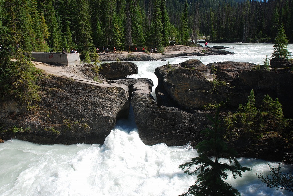 b0021211_14014480.jpg