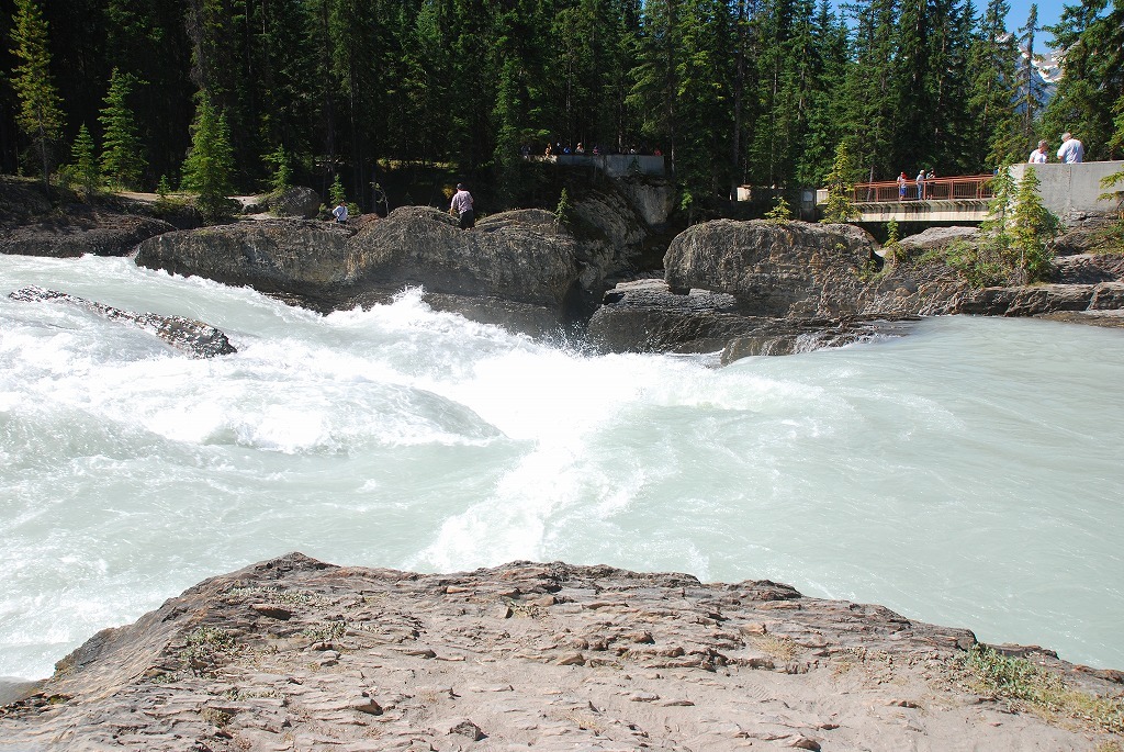 b0021211_14024975.jpg