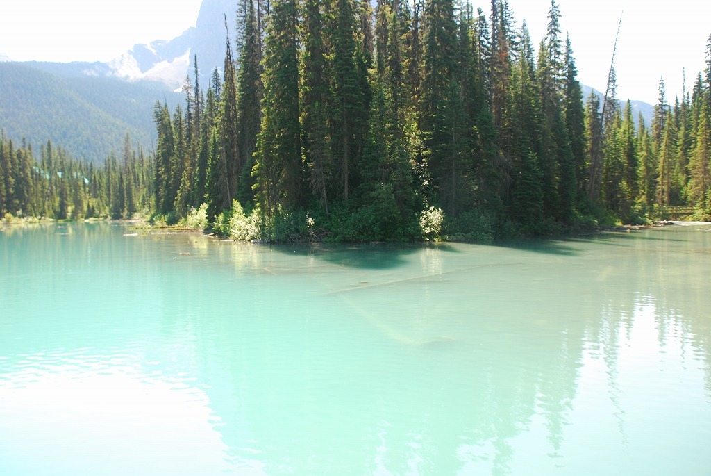 b0021211_14034681.jpg