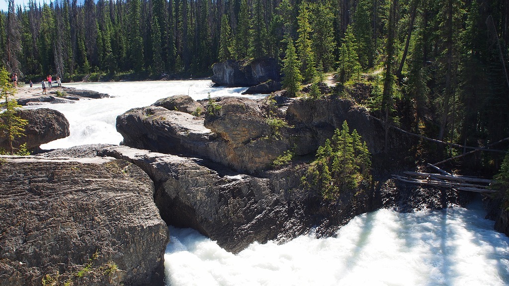 b0021211_14132842.jpg