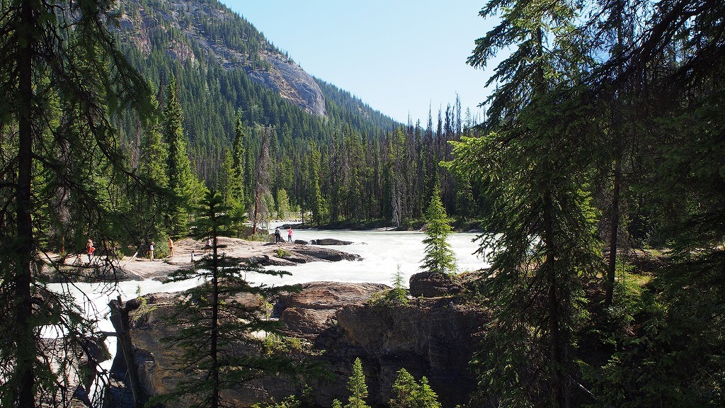 b0021211_14133277.jpg