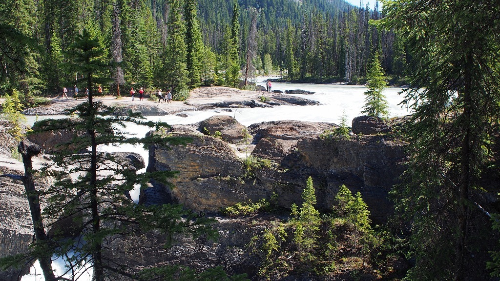 b0021211_14133765.jpg