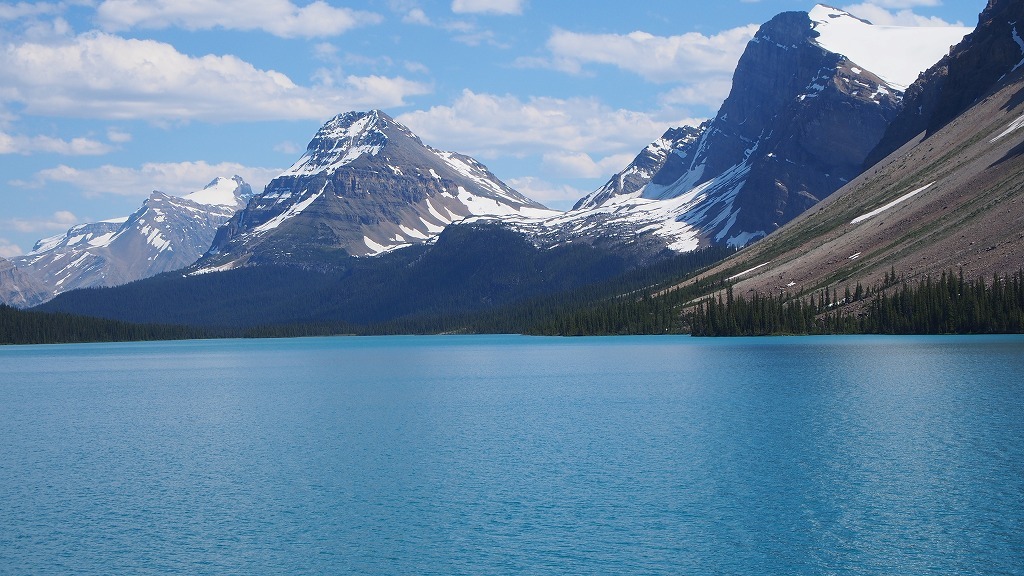 b0021211_14160899.jpg