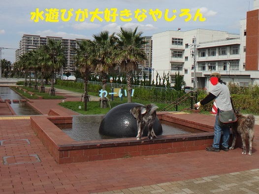 f0121712_05514270.jpg