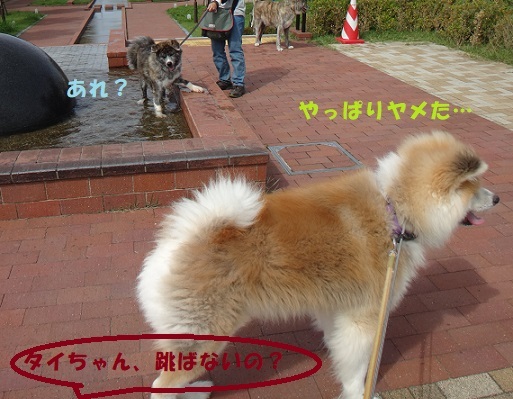 f0121712_06002003.jpg