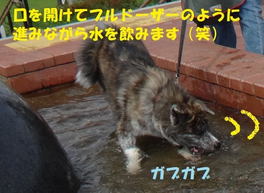 f0121712_06104717.jpg