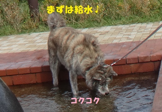 f0121712_06564312.jpg