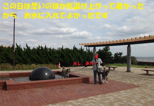 f0121712_07160789.jpg