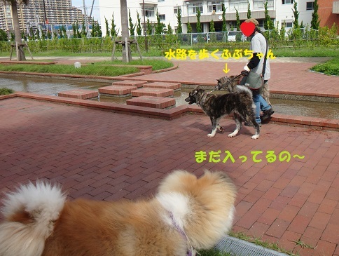 f0121712_07212275.jpg