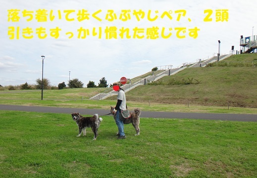 f0121712_07250127.jpg