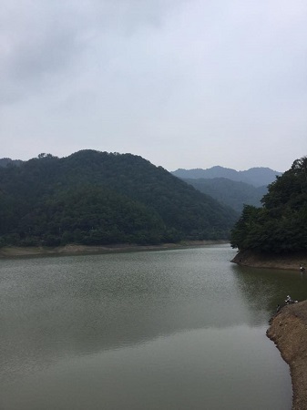 b0169513_09382297.jpg