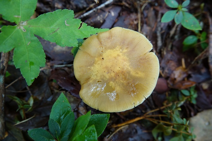 f0360815_16063943.jpg