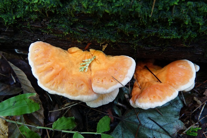 f0360815_16064056.jpg