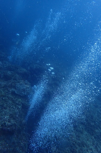 １０月７日(土)　水温２５℃　透明度１０~１３m　ショウガセ・クラック_d0259022_16073135.jpg