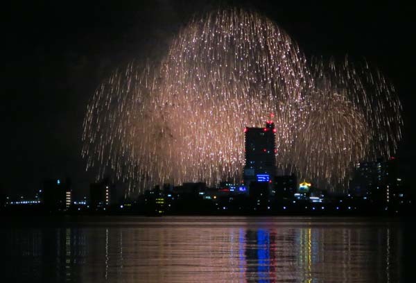 茨城県フラワーパークと土浦の花火。_f0147025_21011022.jpg