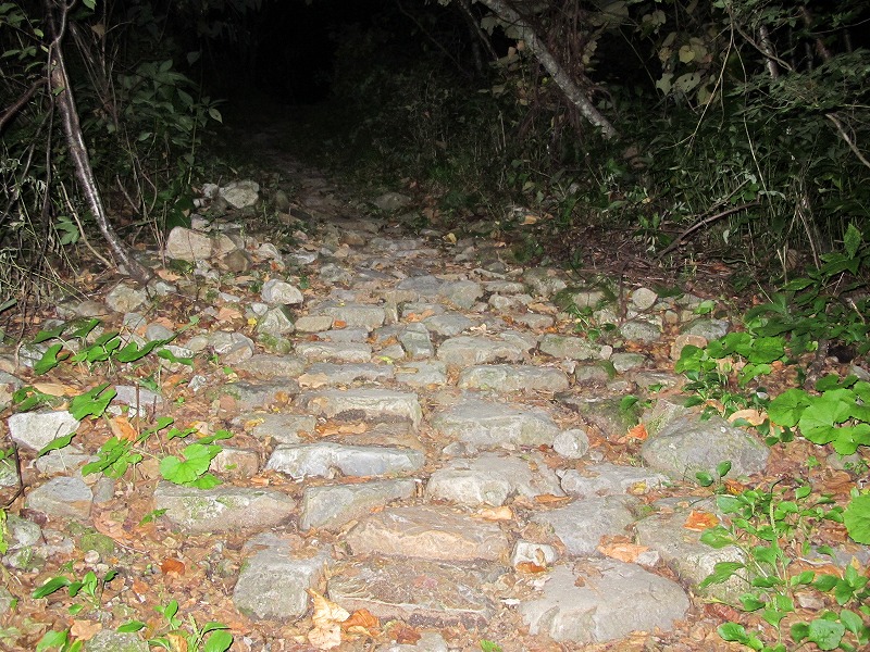 e0284726_1422121.jpg