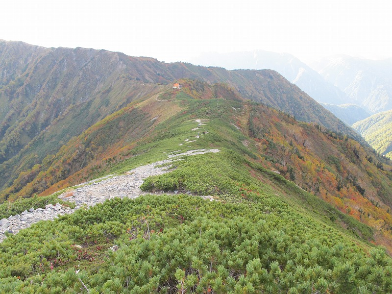 e0284726_1451462.jpg