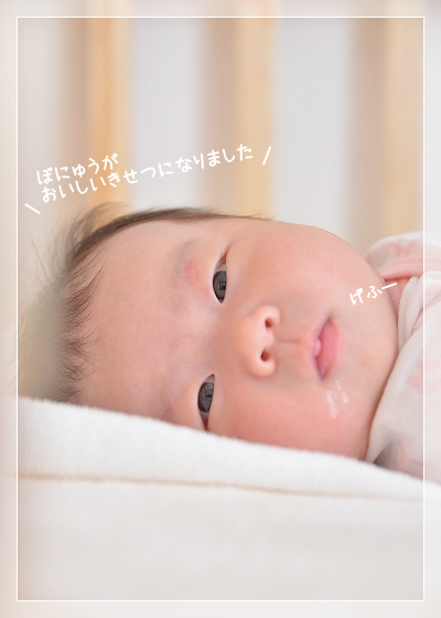 d0179828_11453925.png