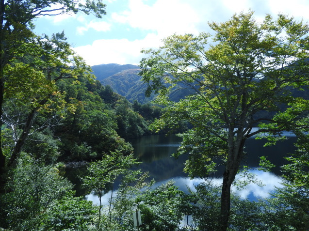 f0118332_23100345.jpg