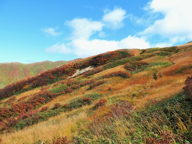 10月5～6で以東小屋泊、周回_f0118332_23104751.jpg