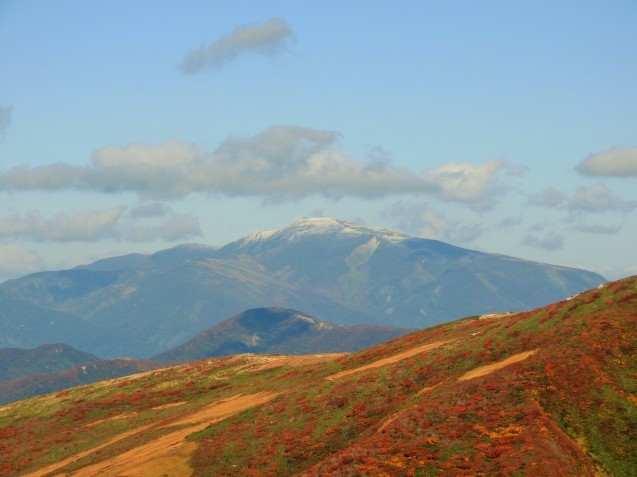f0118332_23111614.jpg