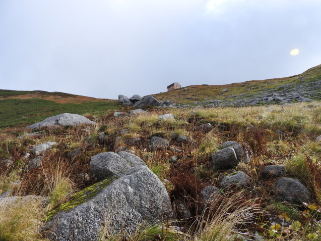 f0118332_23124626.jpg