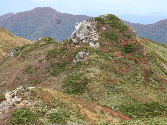 f0118332_23201024.jpg