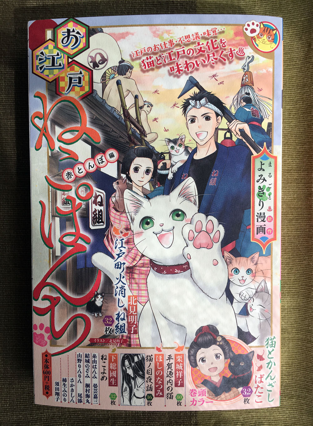 お江戸ねこぱんち 猫町長屋奇譚 山野りんりんの近況ブログ