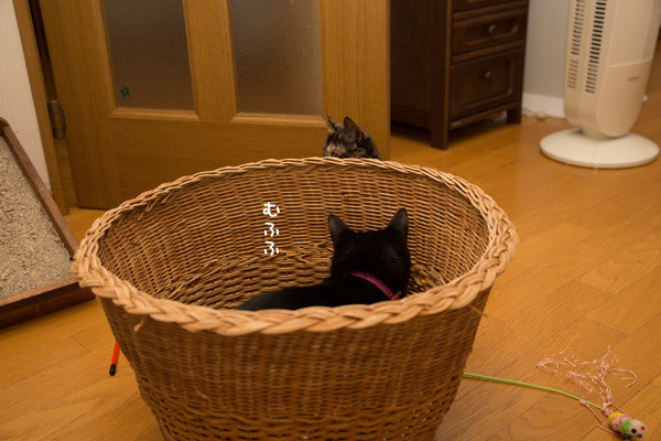 片付けるタイミング_d0355333_20384680.jpg