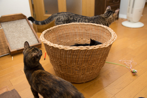 片付けるタイミング_d0355333_20385219.jpg