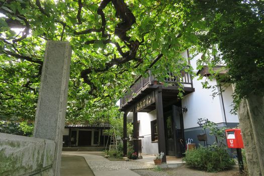 c0134734_17595121.jpg