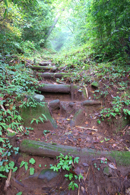 e0272335_18384444.jpg