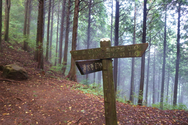 e0272335_19501177.jpg