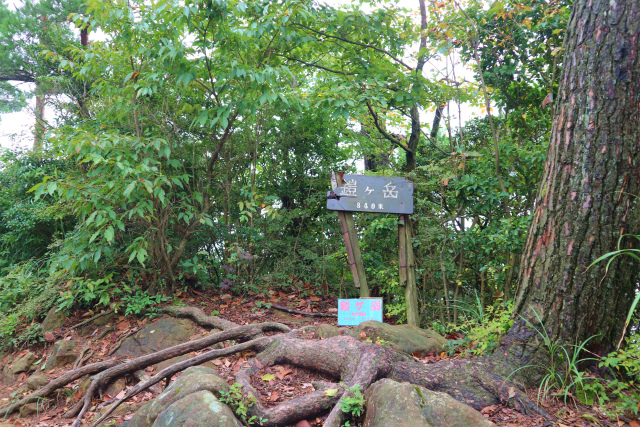 e0272335_1954176.jpg