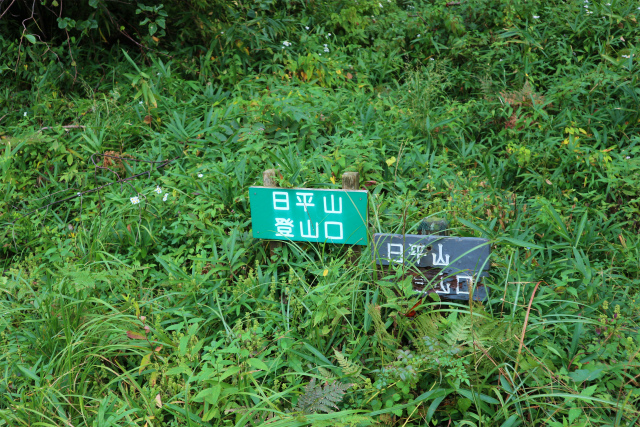 e0272335_2051336.jpg