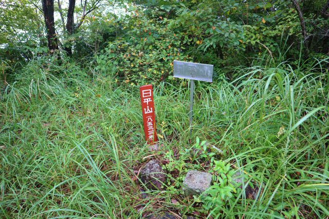 e0272335_2062943.jpg