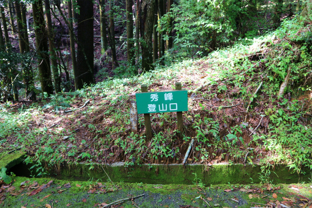 e0272335_2094054.jpg