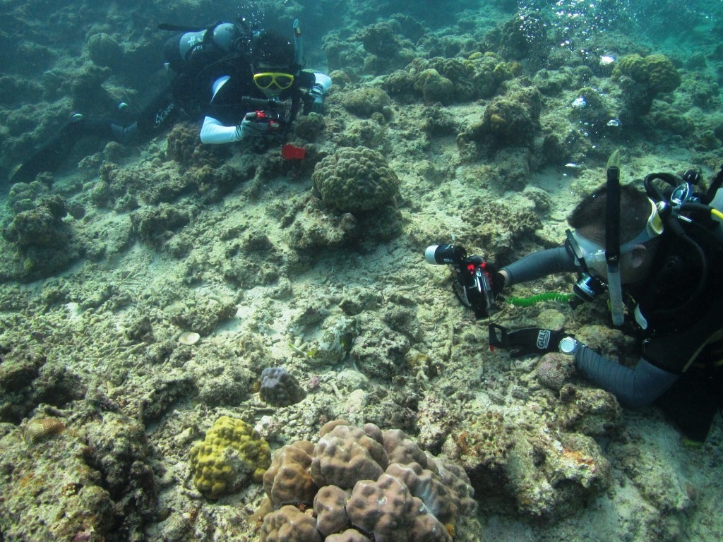 a0189838_00002713.jpg