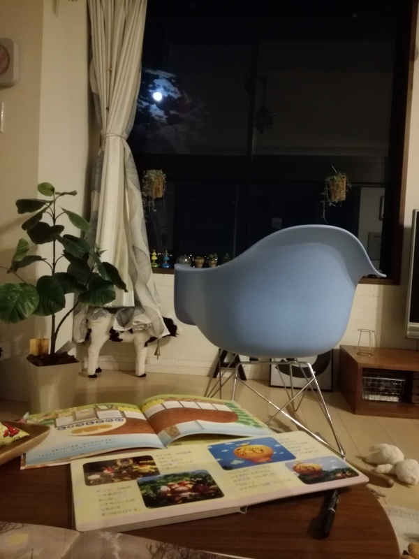 今年の冬に活躍しそうなアイテム(ファッションネタ)_f0370138_23123007.jpg