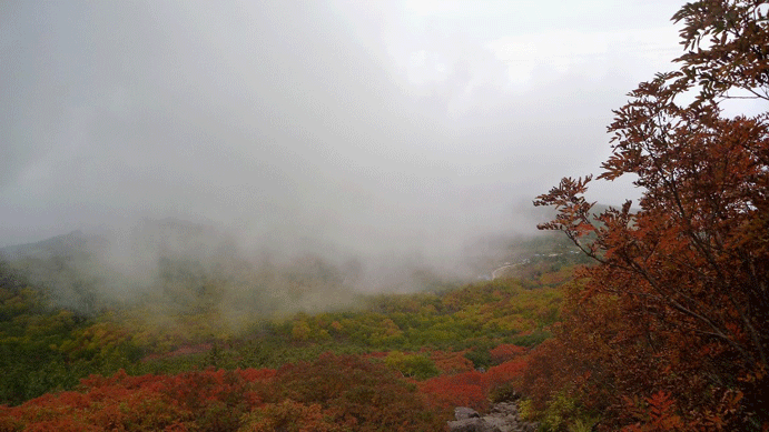 e0371039_9172314.gif