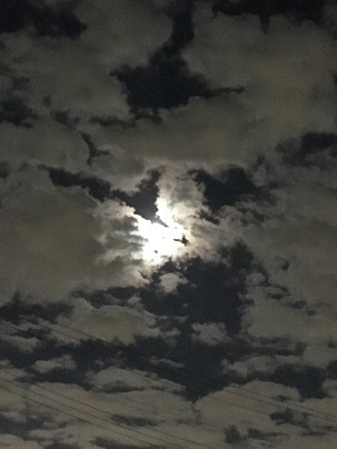 c0206342_07353922.jpg