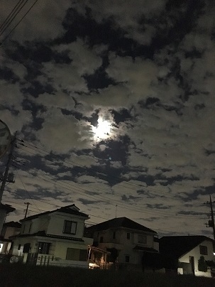 c0206342_07354793.jpg