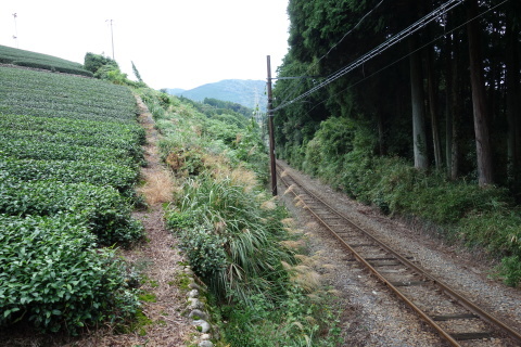 幻の居林駅_f0212142_02245679.jpg